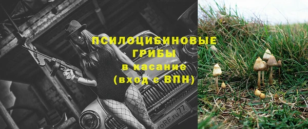 PSILOCYBIN Семёнов