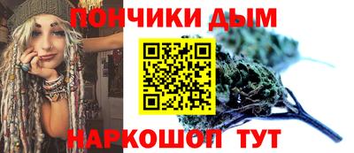 шишки Кандалакша