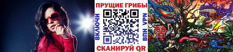 Галлюциногенные грибы прущие грибы  Мирный 