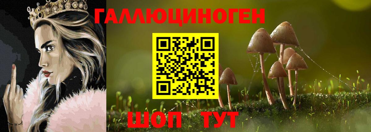 Псилоцибиновые грибы мухоморы Мирный